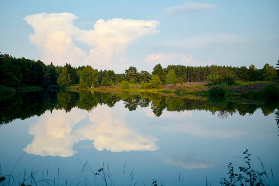 Lüneburger Heide