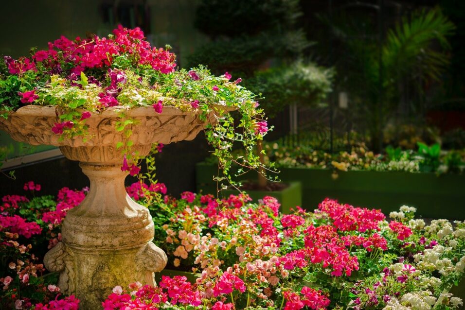 Gartenblumen