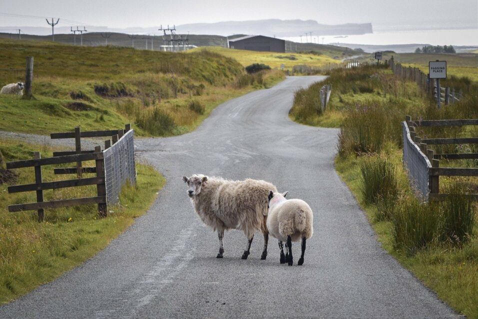 Schottland Straßen