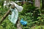 Müll im Wald