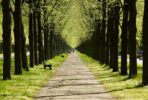 Niedersachsen wandern