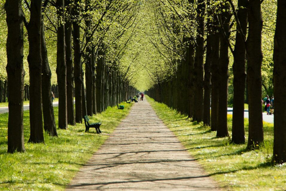 Niedersachsen wandern